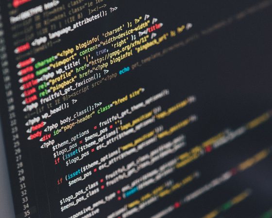 Software development